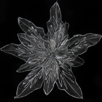 Прищепка для штор цветок серебристо-белый малый JX101575-Y
